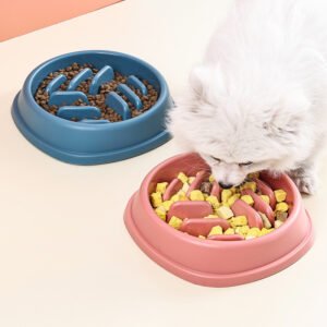 Slow Feeder Bowl