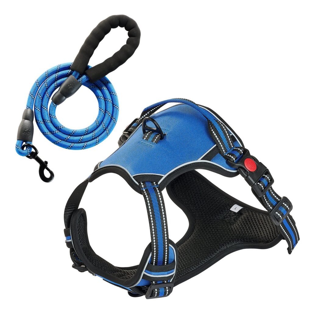 No-Pull Harness
